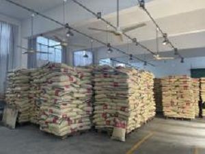 product-300-225 product-300-225